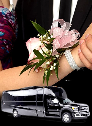 la prom limousine service